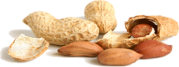 about-peanut-img
